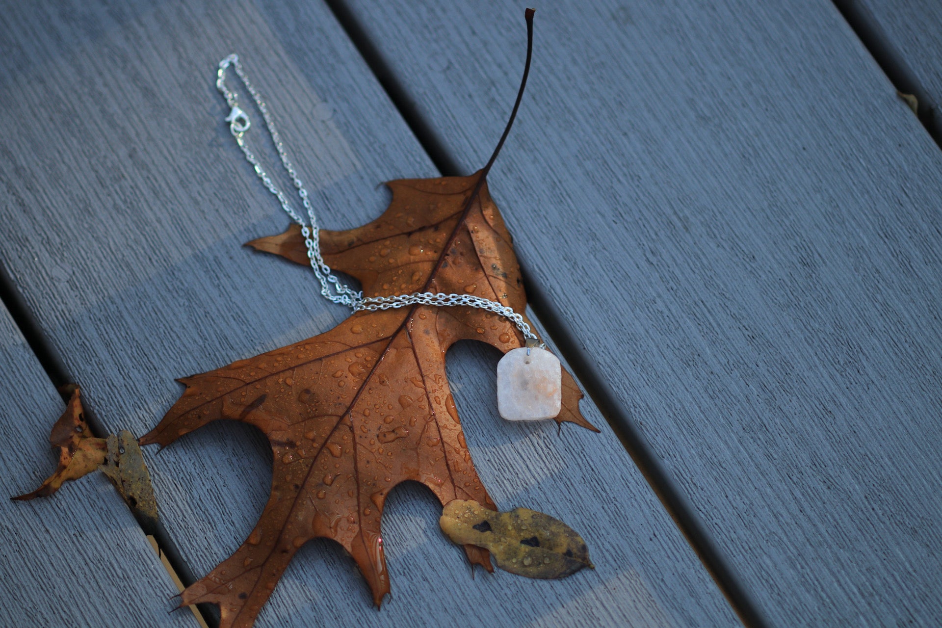 Signature EDEN Necklace